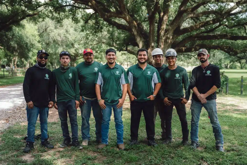 Doctor Tree Pro team