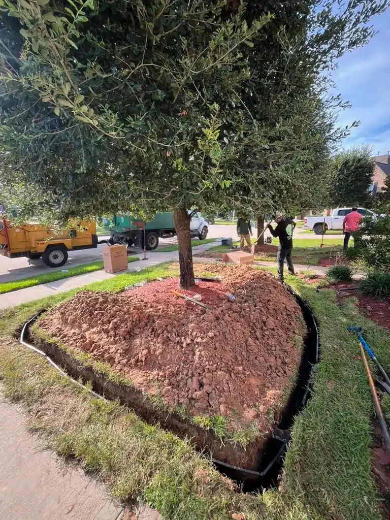 root barrier installation and trenching - Houston TX