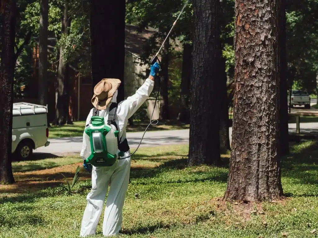 tree care and health