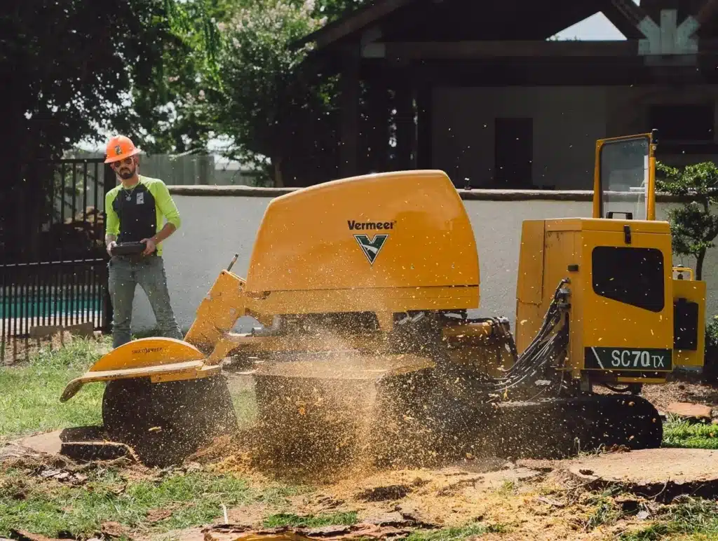 stump grinding